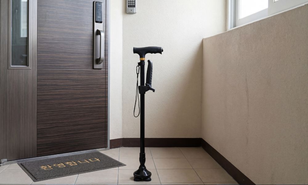 현관 앞 지팡이