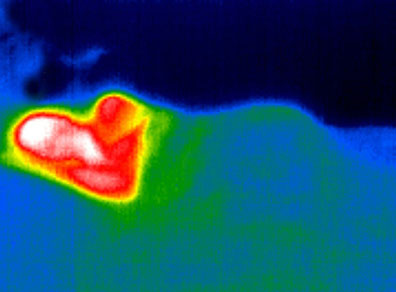 냉감이불 열화상